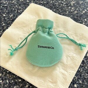 Tiffany & Co. Turquoise Jewelry Pouch